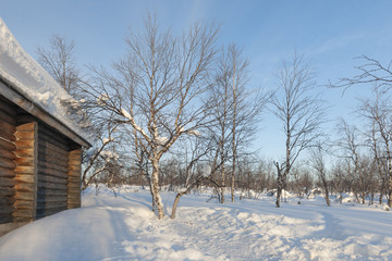 Snow Covered House and bare trees on field