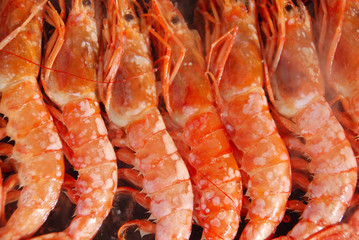 Get Gambones Photos Royalty Free Images Graphics Vectors Videos For Free Wallpaper Gambones Photos Royalty Free Images Graphics Vectors Videos For Free