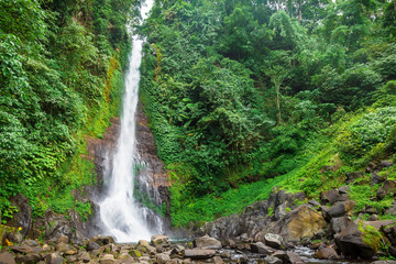 The highest waterfall in Bali