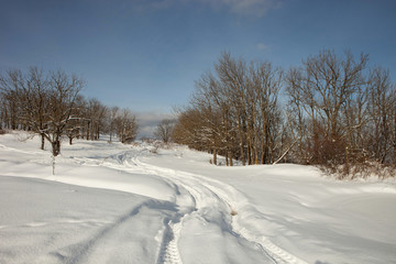 The road in the winter forest