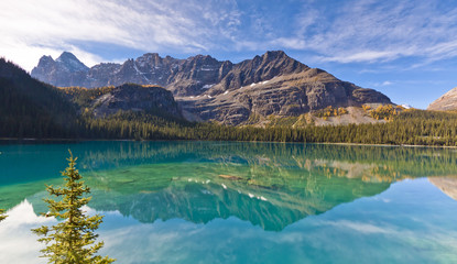 scenic view of reflections in lake ohara in the mountains