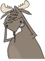 Scared bull moose