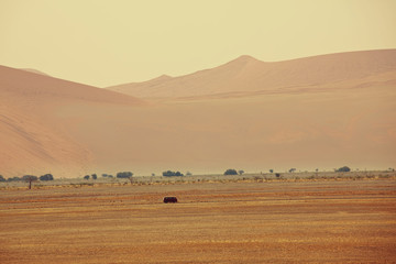 Obraz premium Namib desert