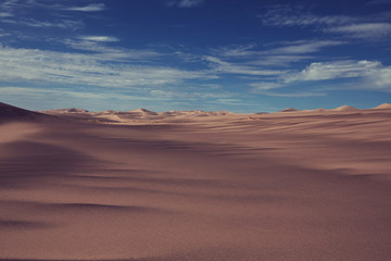 Naklejka na ściany i meble Namib desert