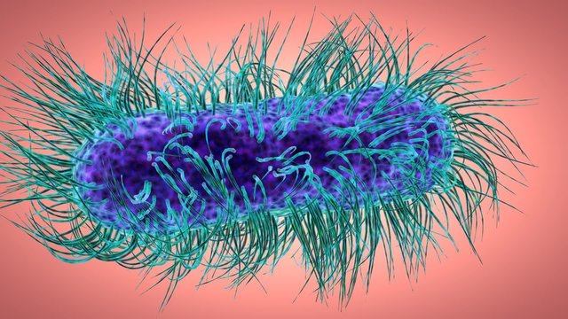 high definition microbiology intro.Bacteria cells, science 3d animation. 