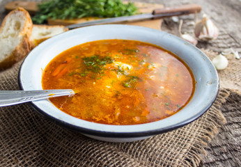 Russian borsch (focus only in the foreground )