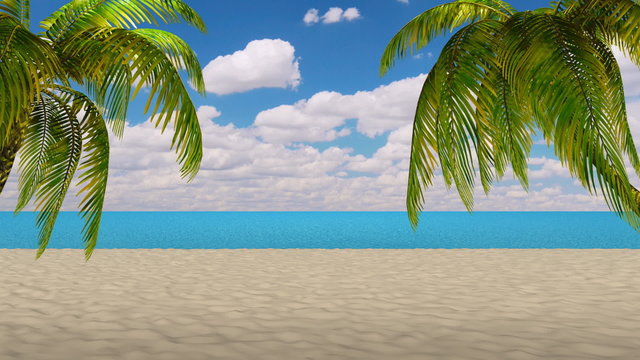 3d,Palm tree leaves over luxury beach