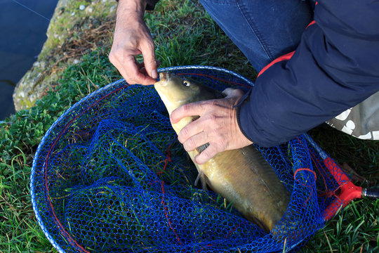 unhook a fish