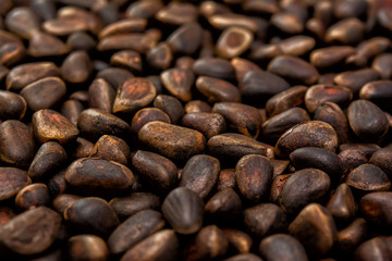 Cedar nuts background