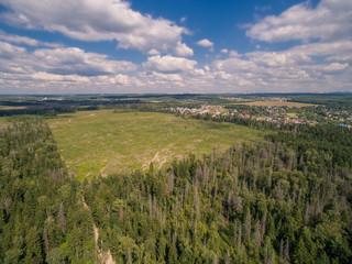 Obraz premium Moscow suburbs in summer 