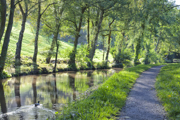 waterfront gravel footpath in woodland park by a canal with sunlight rays shining through tree leaves and reflections in water