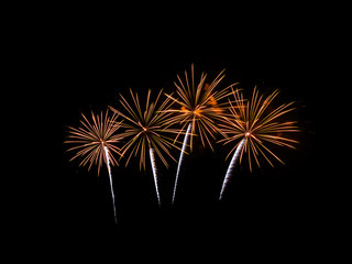 Fototapeta premium Colorful fireworks of various colors on black background