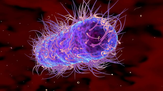 high definition microbiology intro.Bacteria cells, science 3d animation. 