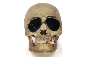 Skull head / Skull head with cigarette in mouth on white background.