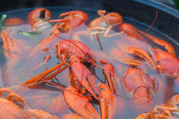 Boiled crayfish in a large cast-iron pot