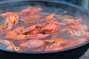 Boiled crayfish in a large cast-iron pot