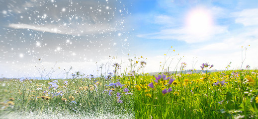 Winter und Frühling © Jürgen Fälchle