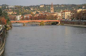 Fototapeta premium river landscape in city Verona