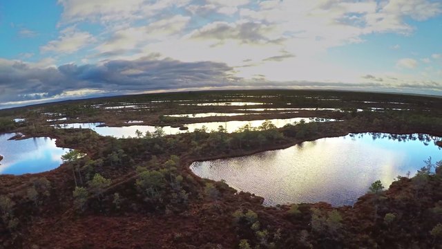 Kemeri swamp landscape in Latvia
