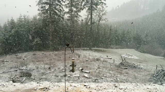 A very large flock of small birds swarm a bird feeder during  heavy snowfall