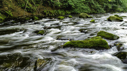 Natur_Wald_Wasser_Fluss_6