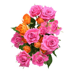 薔薇