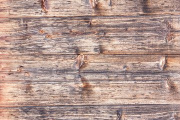 Fototapeta premium Grunge wooden wall texture.