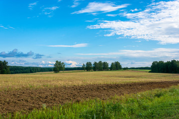 Fototapeta premium Summer landscape, Russia.