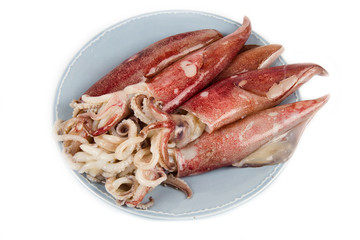 fresh squid isolated on white background