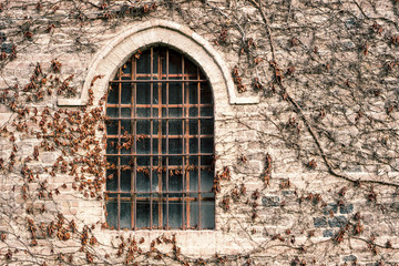 An ancient window
