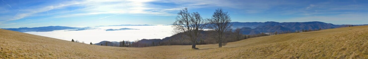 Winter sunny day panorama with trees and inversion