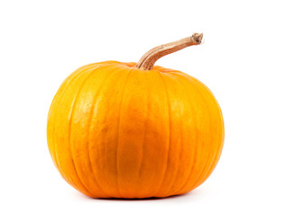 Pumpkin isolated on white