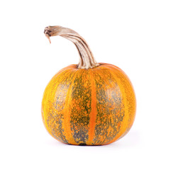 Pumpkin isolated on white