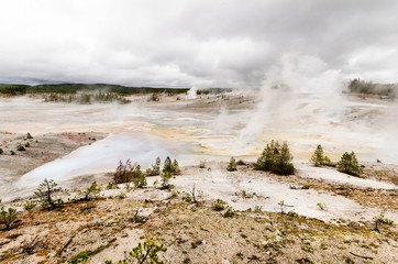 Norris Geyser Basin - Yellowstone National Park - Wyoming - USA