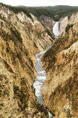 Yellowstone Falls - Yellowstone National Park - Wyoming - USA