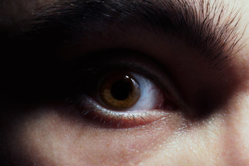 Brown eye