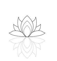 Lotus flower isolated on white vector, fiore di loto vettoriale isolato su sfondo bianco
