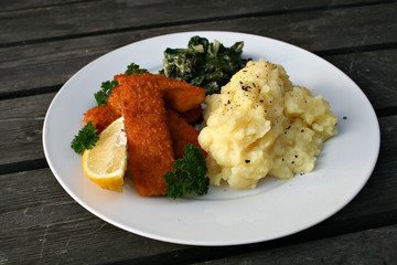 organic lifestyle fischstäbchen kartoffelbrei mangold spinat kindergericht kindergarten