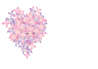 Hydrangea flowers ,pink flower  heart design vector illustration