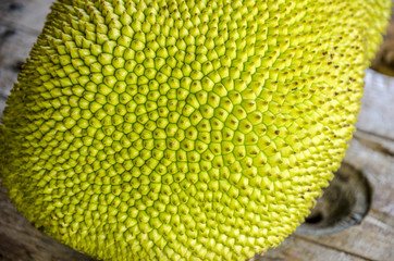 Jack-fruit close-up.
