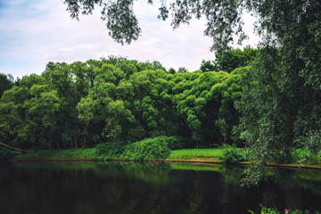 Fototapeta na wymiar Деревья и река