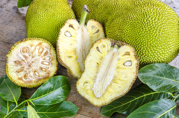 Cross-section ripe fruit of giant Jack-fruit.