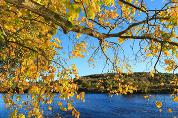 Autumn Landscape and River Dee in Aberdeen, Scotland UK.