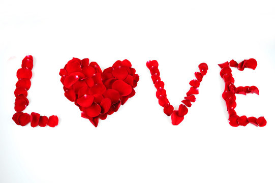 word love by red rose petals