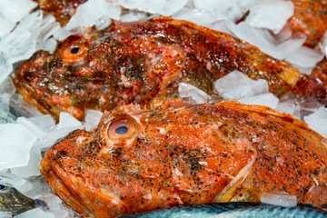 Open street fish market Kring prawn sydney