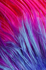 colorful artificial hair texture