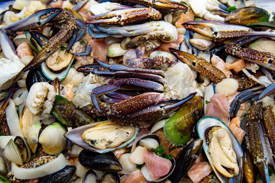 Mixed Fish For Sale At Sydney Market