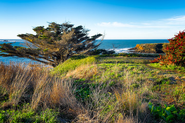 Mendocino cliff landscape and coastline on the Pacific Ocean north of San Francisco