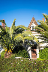 Fototapeta na wymiar California house with palm trees