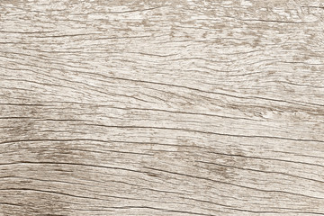Obraz premium White old wood pattern texture background. Wooden floor cracks of tabletop. Dry wood board sepia tones. Desk made of wood and natural textures.